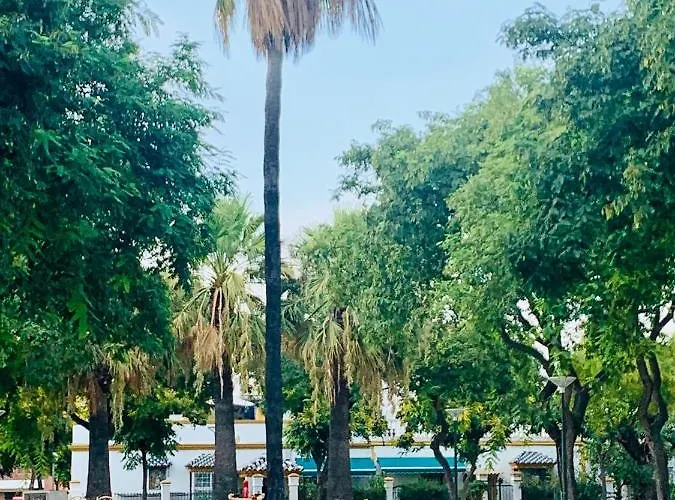 Apartment Atico Plaza Espana Jerez de la Frontera