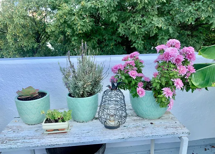 Atico Plaza Espana Jerez de la Frontera