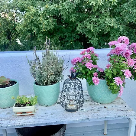 Atico Plaza Espana Χέρεζ